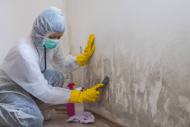 Asbestos and Lead Testing During Mold Inspection